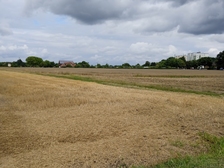 Angelika Stabenau 580