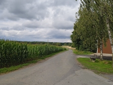 Angelika Stabenau 581