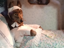 Angelika Stabenau 598