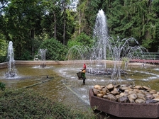 Angelika Stabenau 605