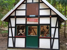 Angelika Stabenau 607