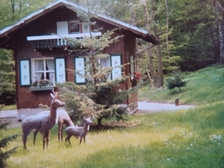 Angelika Stabenau 611