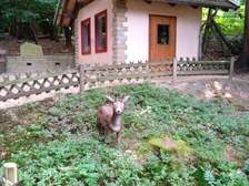 Angelika Stabenau 612