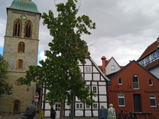 Angelika Stabenau 621