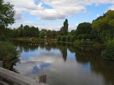 Angelika Stabenau 626