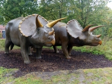 Angelika Stabenau 633