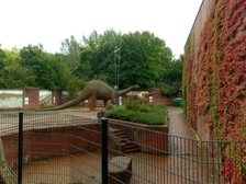 Angelika Stabenau 634