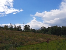 Angelika Stabenau 651