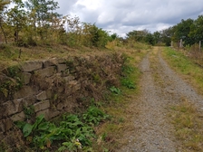 Angelika Stabenau 655