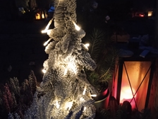 Angelika Stabenau 702