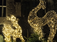 Angelika Stabenau 709