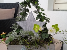 Angelika Stabenau 710