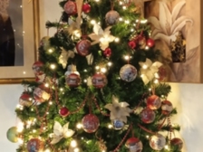 Angelika Stabenau 715