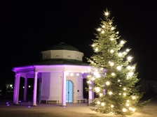 Angelika Stabenau 717