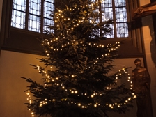 Angelika Stabenau 724