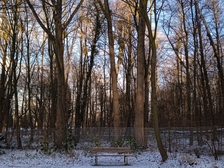 Angelika Stabenau 725