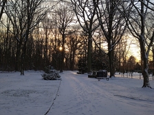 Angelika Stabenau 730