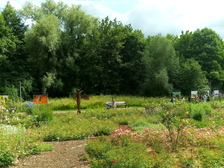 Angelika Stabenau 99