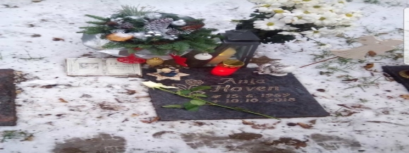 Stimmungsbild-Anja-Hoven-1