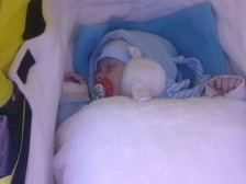 Anna Marie Dietrich 1