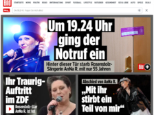 AnNa R Rosenstolz 35