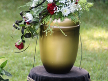 Anneliese Spalteholz 8