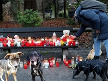 Anschlag Aschaffenburg 13