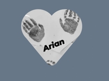 Arian Hasani 1