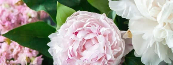 Stimmungsbild-Bärbel-Schallschmidt-1