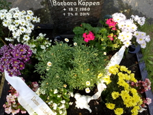Barbara Köppen 41
