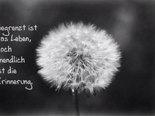 Benjamin Ulrich 4