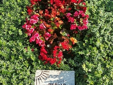 Bernhard Hybotter 11