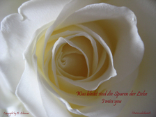 Bjoern Alexander Zielke 37