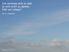 Bjoern Alexander Zielke 39