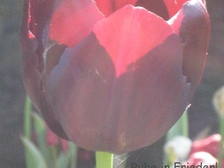 Bjoern Alexander Zielke 40