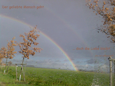 Bjoern Alexander Zielke 41