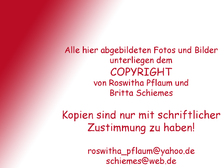 Bjoern Alexander Zielke 47