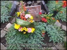 Brigitte Finzelberg 7