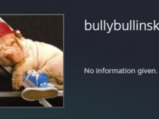 Bully Bullinski 2
