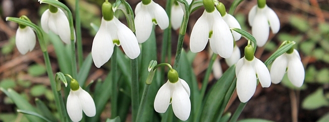 Stimmungsbild-Catrin-Röber-Kneip-33