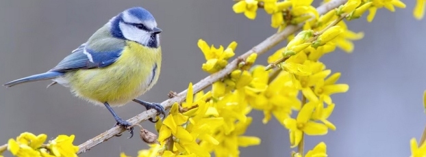 Stimmungsbild-Catrin-Röber-Kneip-35