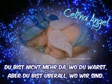 Celina Angel Berg 12