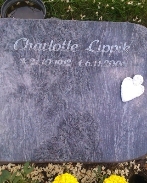 Charlotte Lippik