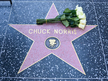 Chuck Norris 29