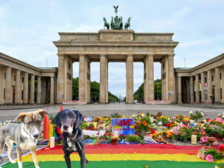 CSD Opfer Anschlag Berlin 50