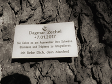 Dagmar Zechel 50