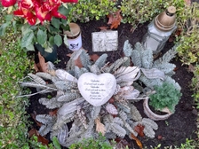 Daniel Steven Rebel 10