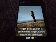 Daniel Steven Rebel 6