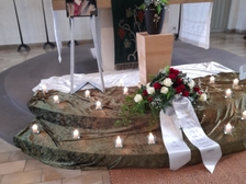 Daniel Steven Rebel 8