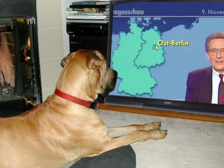 DDR Regime Mauerfall 21